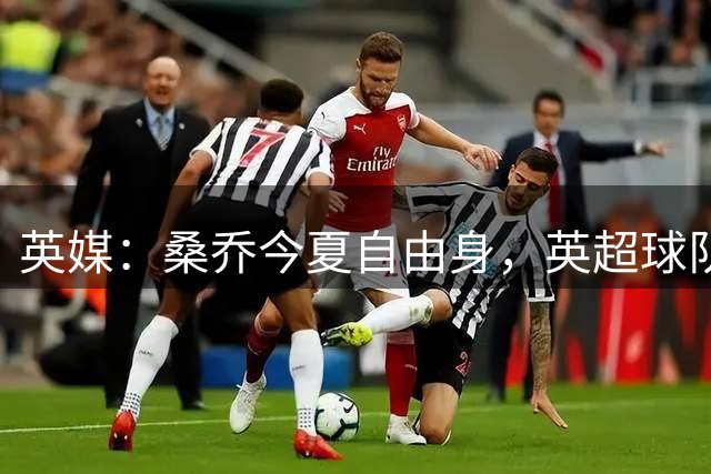 英媒：桑乔今夏自由身，英超球队的兴趣不大